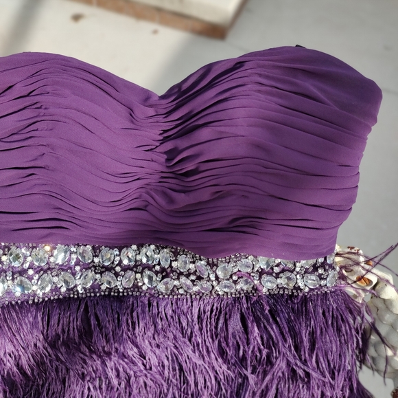 Beautiful feather and Rhinestone Dress - Picture 5 of 11